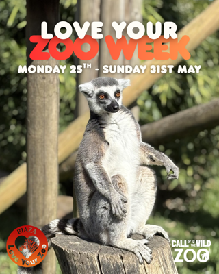 Love Your Zoo Week (1)