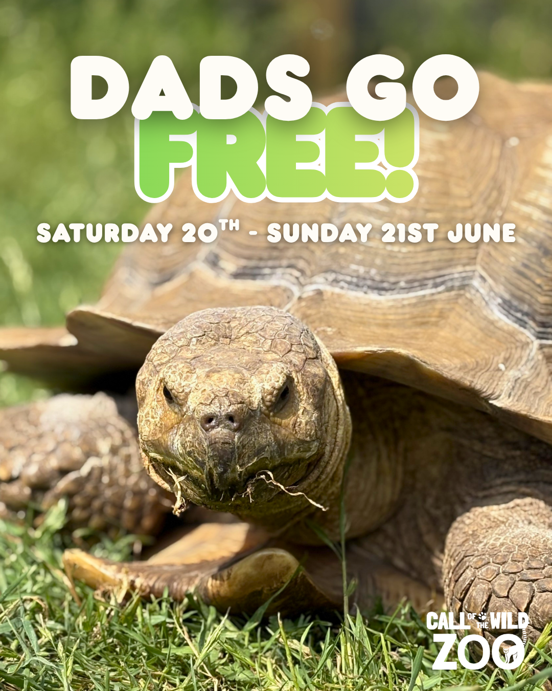 Dad's Go Free (2)