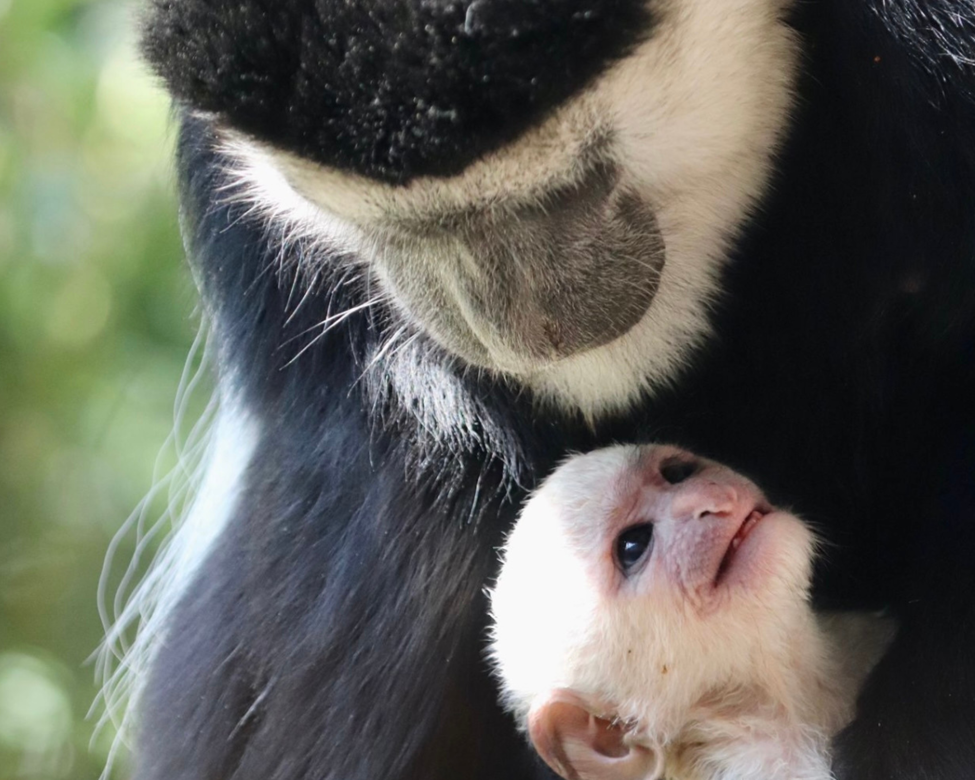 Untitled Design (13)