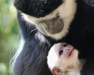 Untitled Design (13)