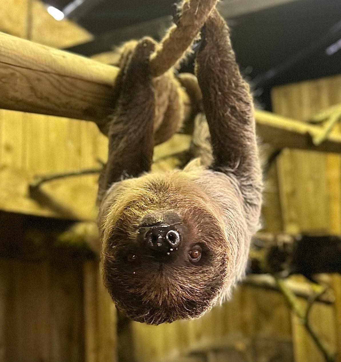 656023573 1389512379857345 8568702470965392122 N (1)