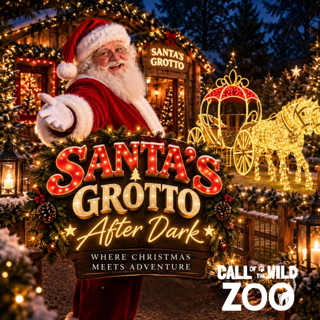 SANTA AFTER DARK