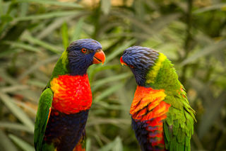 Daniel Bridge Hires IMGP1497