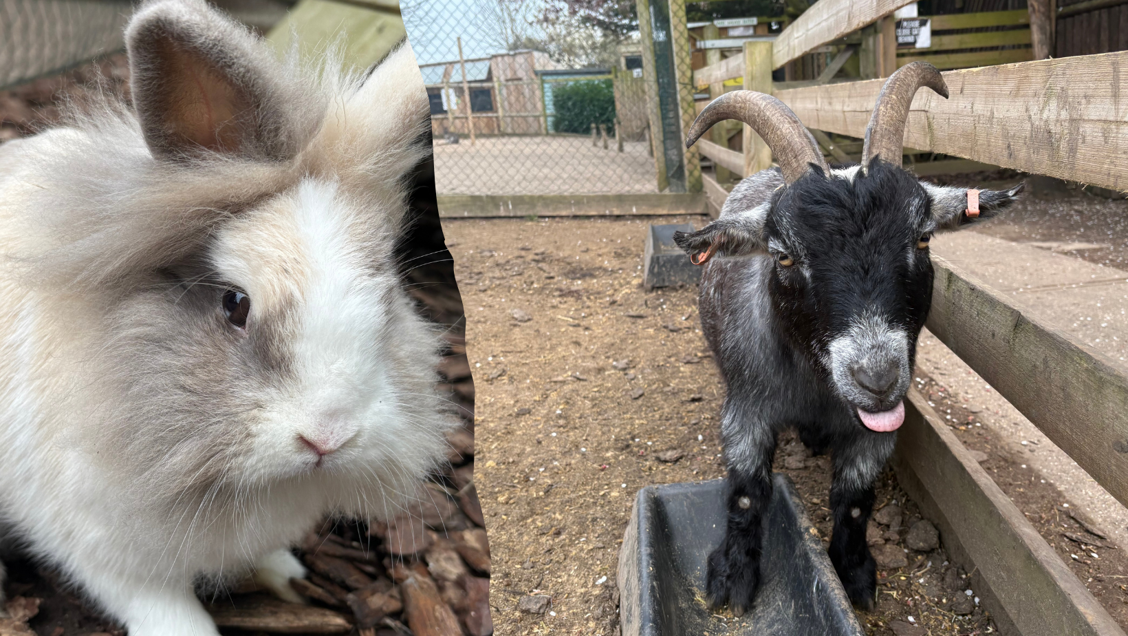 Hero Image For Website