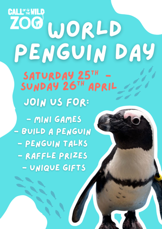 World Penguin Day (2)